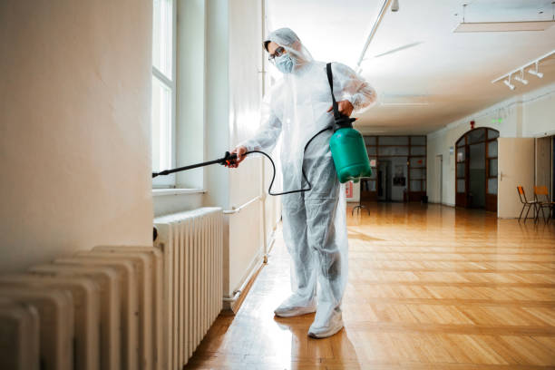 Best Termite Control Services  in Cliffside Park, NJ